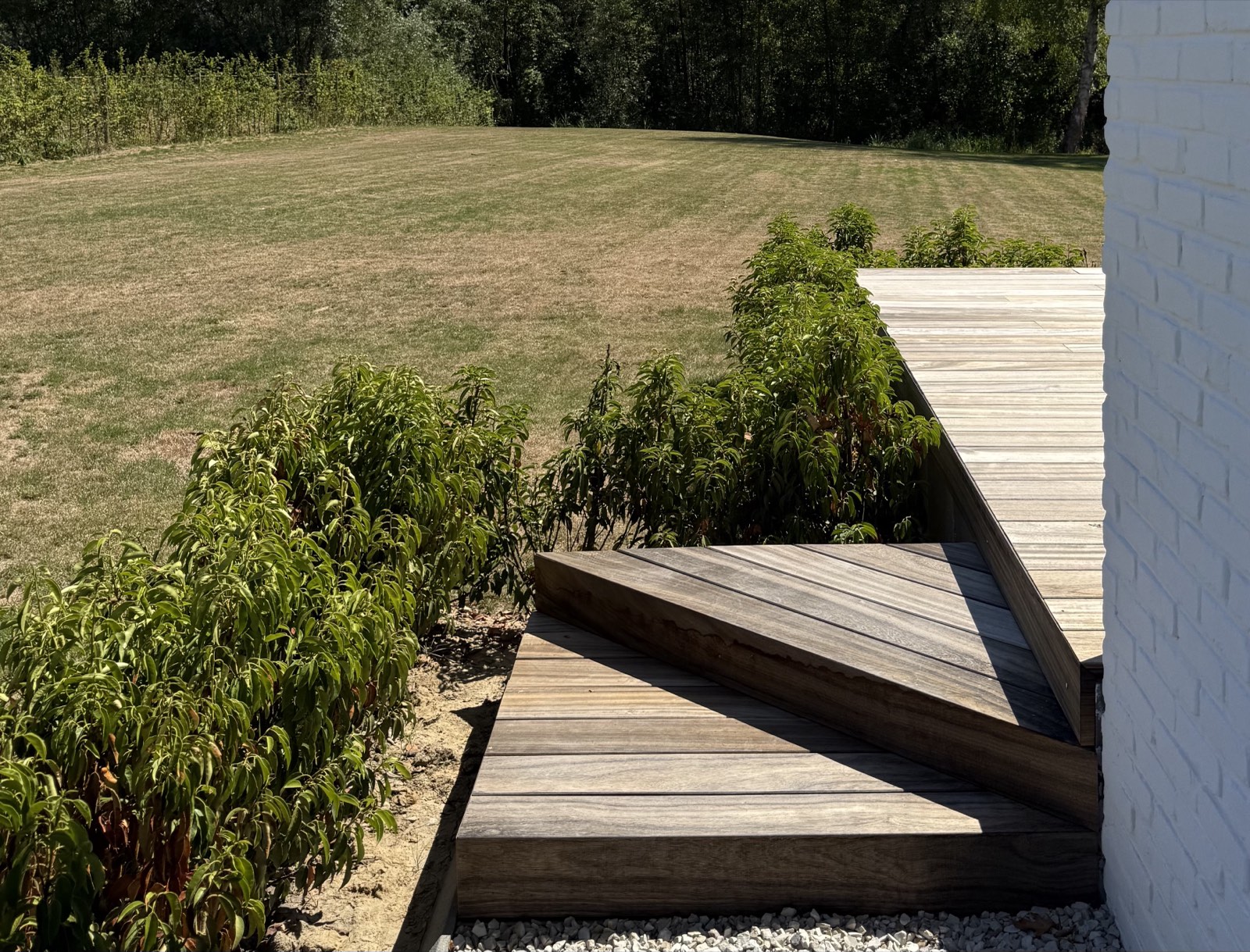 Terrasse en bois exotique avec emmarchement, ouverte sur un jardin